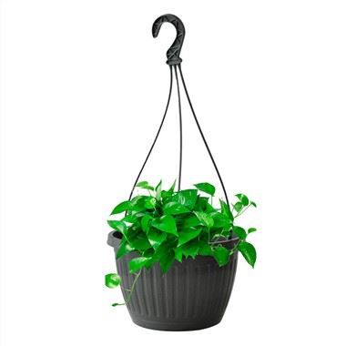 10 इंच हैंगिंग प्लांटर